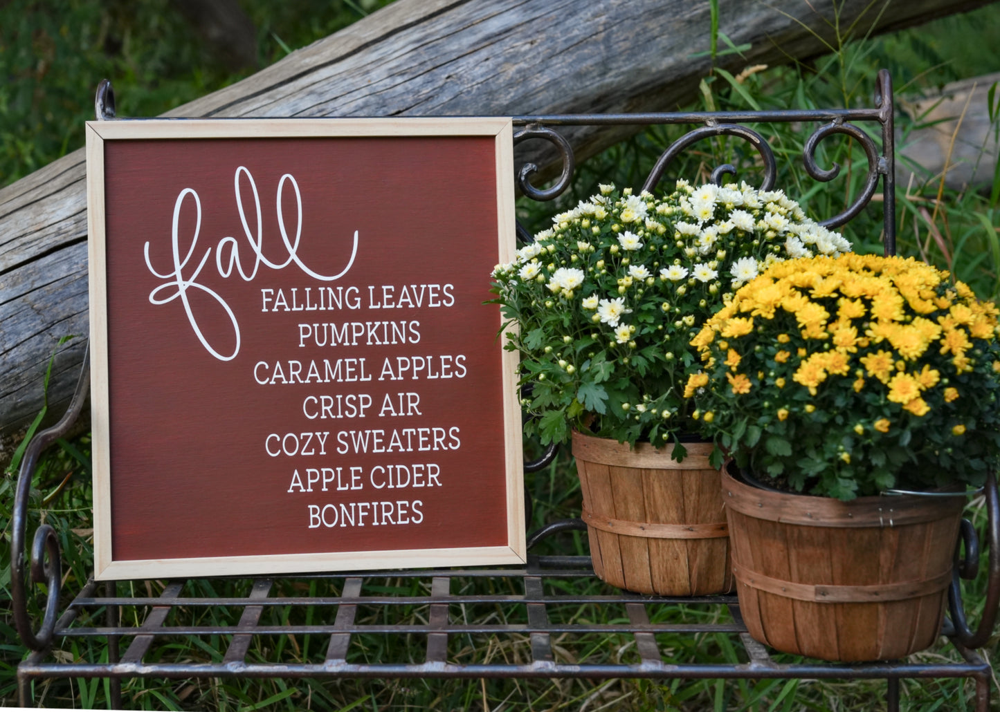 Fall favorites